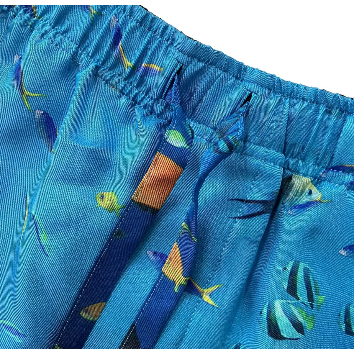 LOEWE 「AQUARIUM PRINT SHORT」アクアリウムプリントスイムショーツ ハーフパンツ 古着・中古-3枚目のアイテム画像