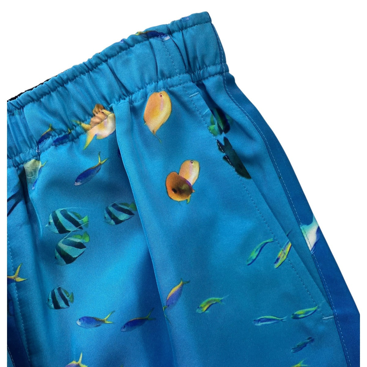 LOEWE 「AQUARIUM PRINT SHORT」アクアリウムプリントスイムショーツ ハーフパンツ 古着・中古-4枚目のアイテム画像