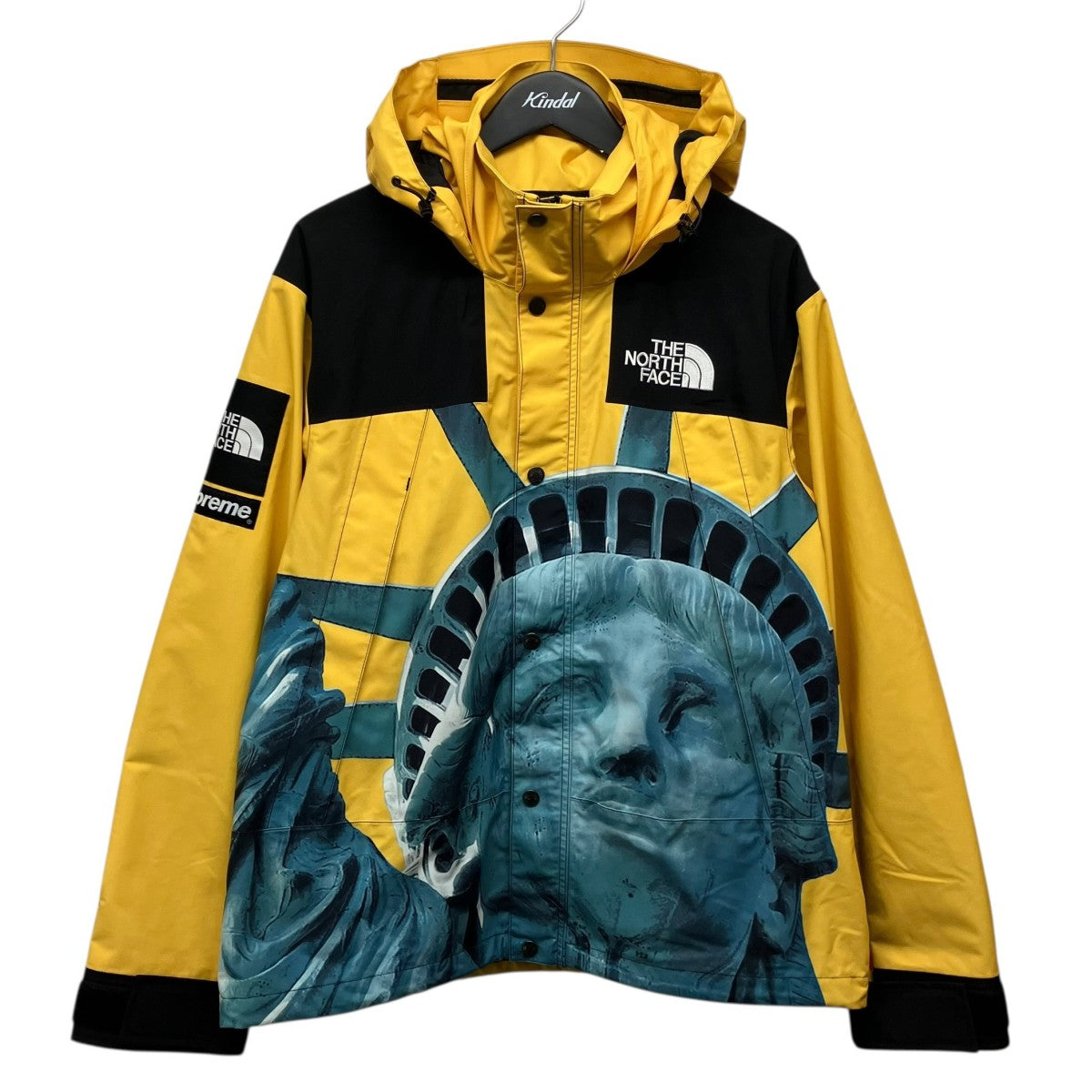 Supreme×THE NORTH FACE 19AW「Statue of Liberty Mountain Jacket」自由の女神 スタチュー オブ リバティ マウンテン ジャケット 古着・中古-1枚目のアイテム画像