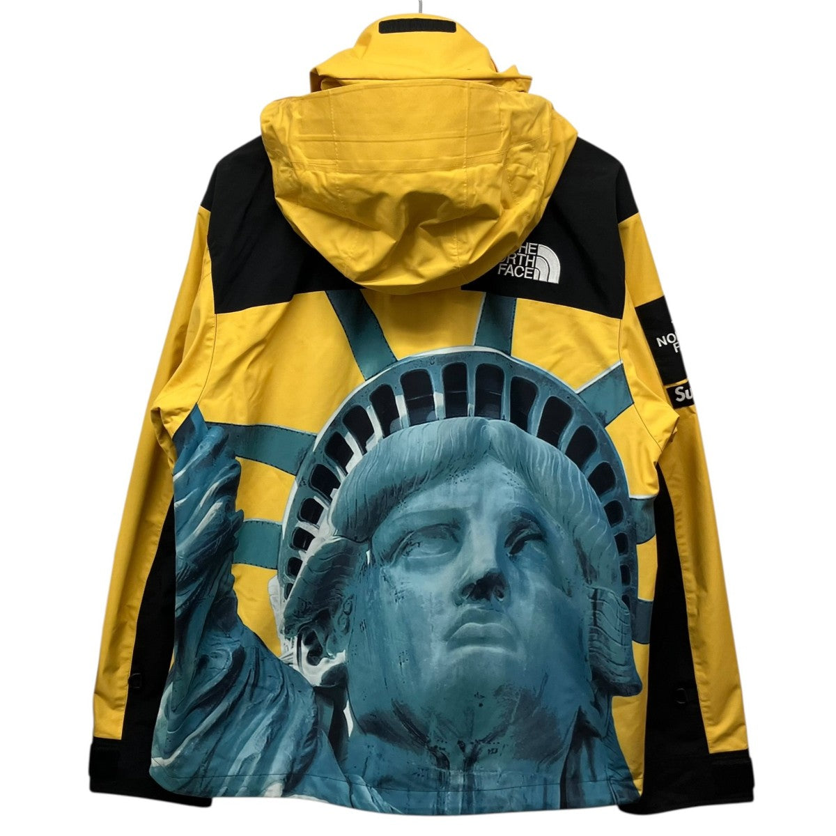 Supreme×THE NORTH FACE 19AW「Statue of Liberty Mountain Jacket」自由の女神 スタチュー オブ リバティ マウンテン ジャケット 古着・中古-2枚目のアイテム画像
