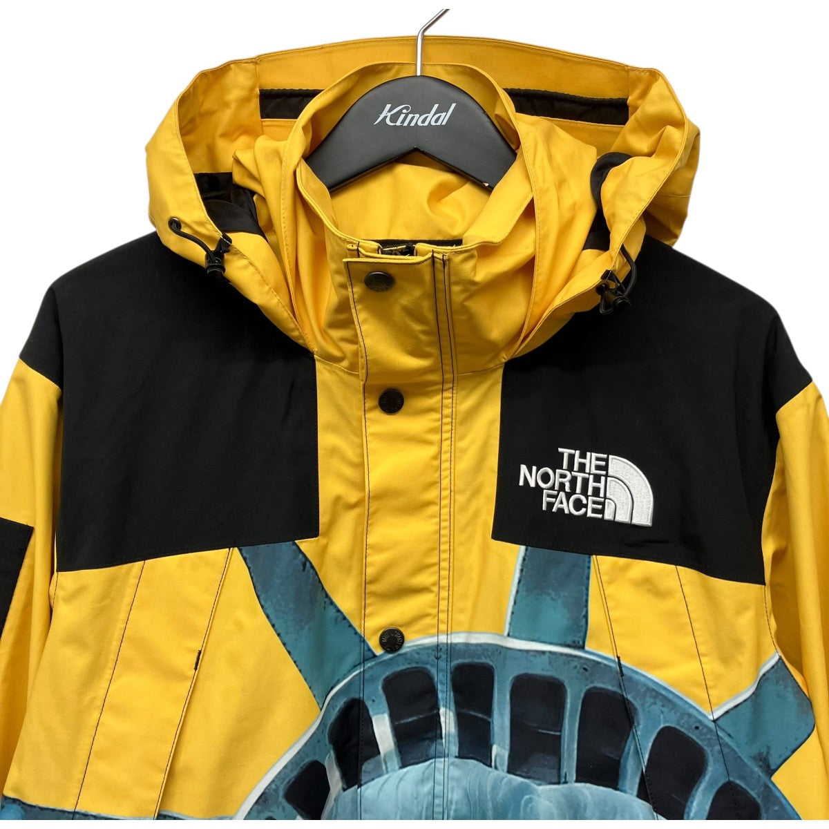 Supreme×THE NORTH FACE 19AW「Statue of Liberty Mountain Jacket」自由の女神 スタチュー オブ リバティ マウンテン ジャケット 古着・中古-3枚目のアイテム画像