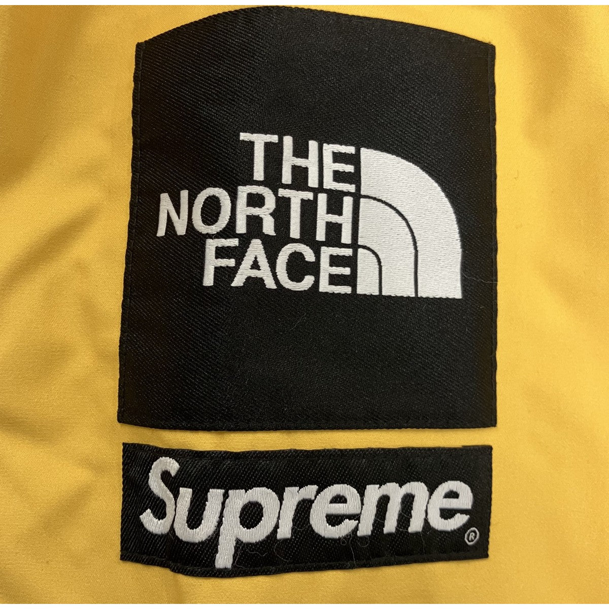 Supreme×THE NORTH FACE 19AW「Statue of Liberty Mountain Jacket」自由の女神 スタチュー オブ リバティ マウンテン ジャケット 古着・中古-4枚目のアイテム画像