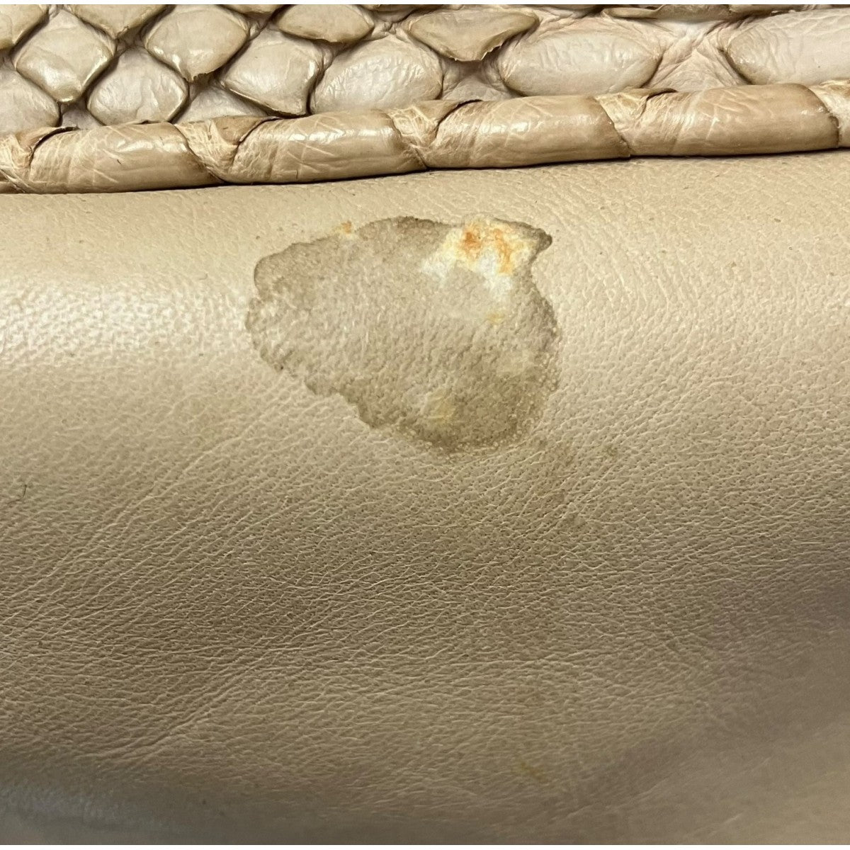 ベティ パイソンバッグ