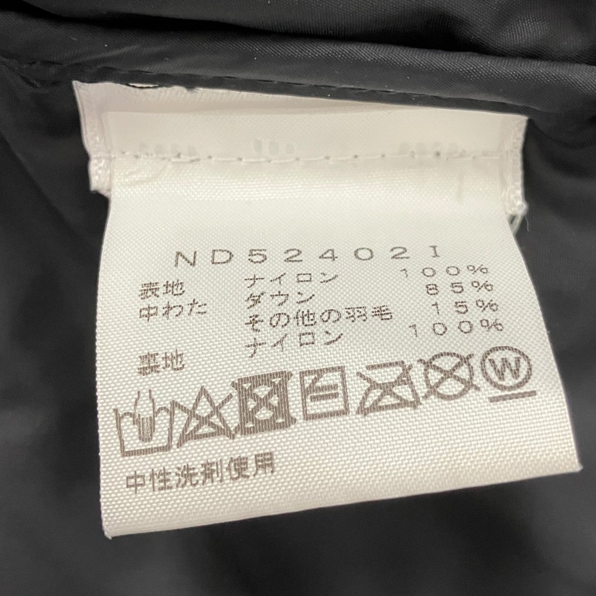 24AWNuptse Raymond PettibonダウンジャケットND524021