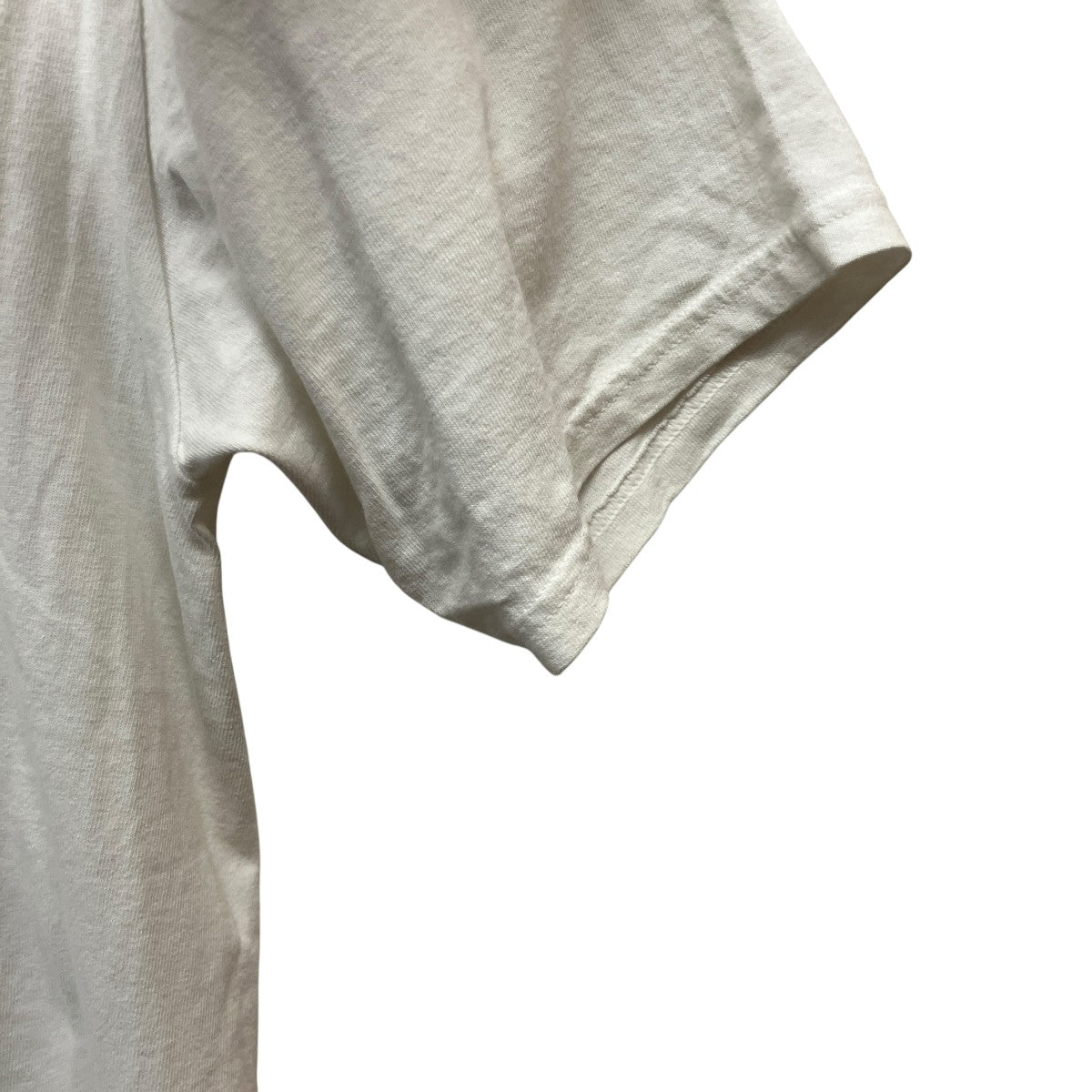 26SSBIG DOG STONE WASHED TEEドッグプリントTシャツ