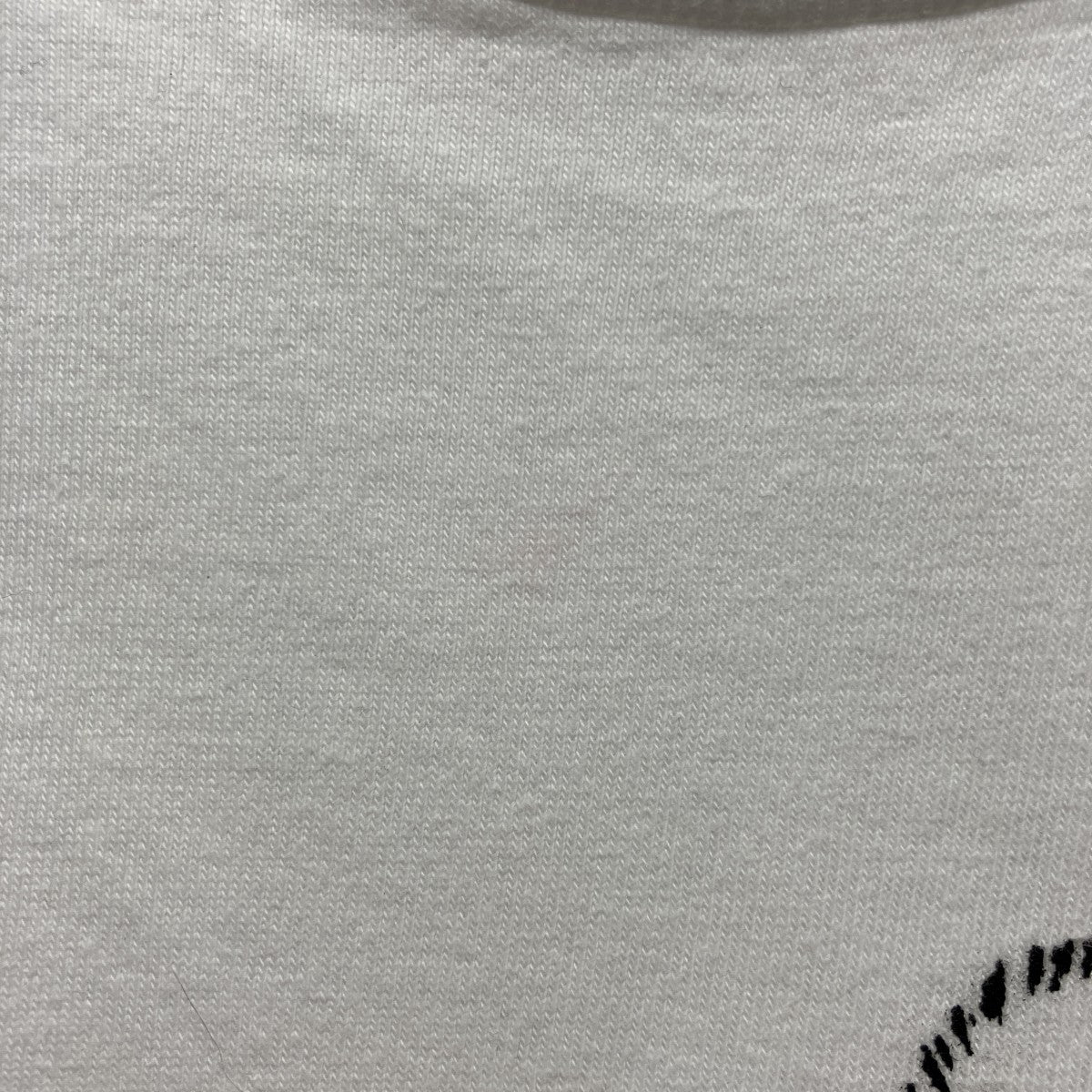 26SSDuck Tee半袖シャツ