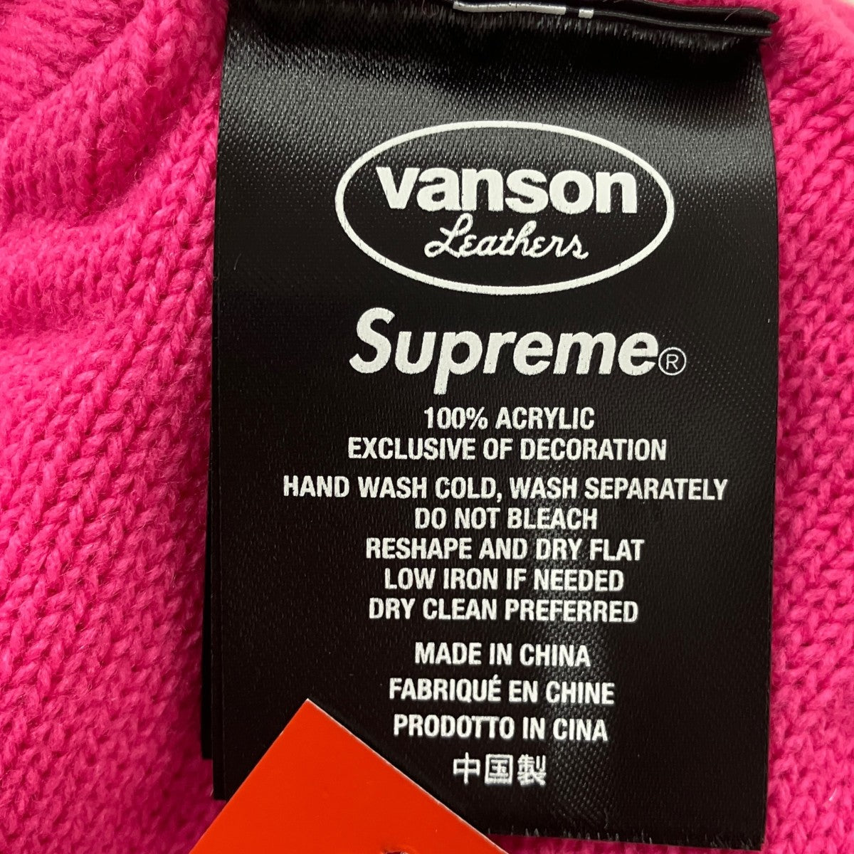 26AWVanson Leathers Skull Beanieスカルビーニー