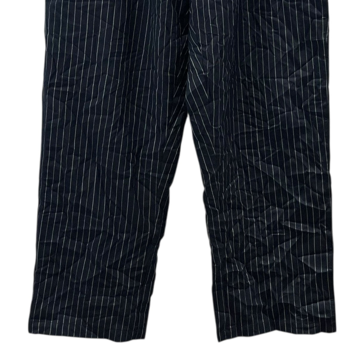 stussy(ステューシー) Beach Pant Wrinkled Stripeシワ加工