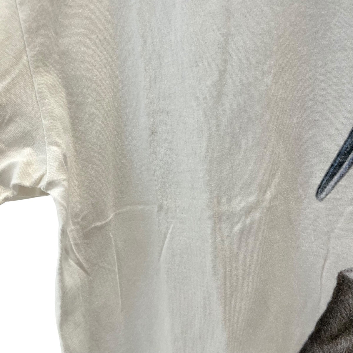 ami カワセミプリント半袖Tシャツ 古着・中古-2枚目のアイテム画像