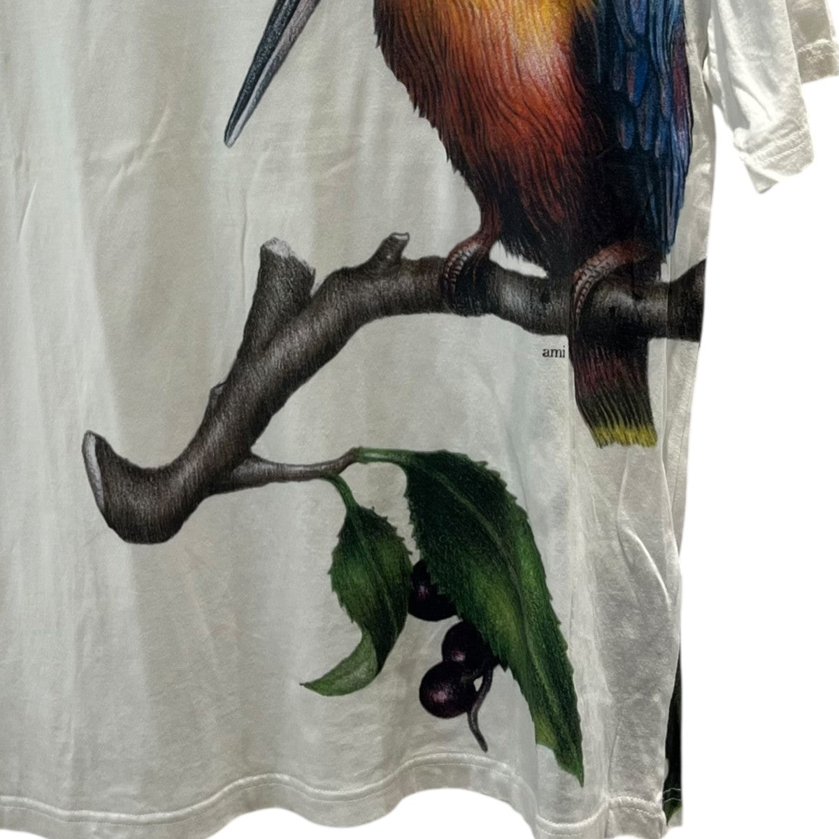ami カワセミプリント半袖Tシャツ 古着・中古-5枚目のアイテム画像