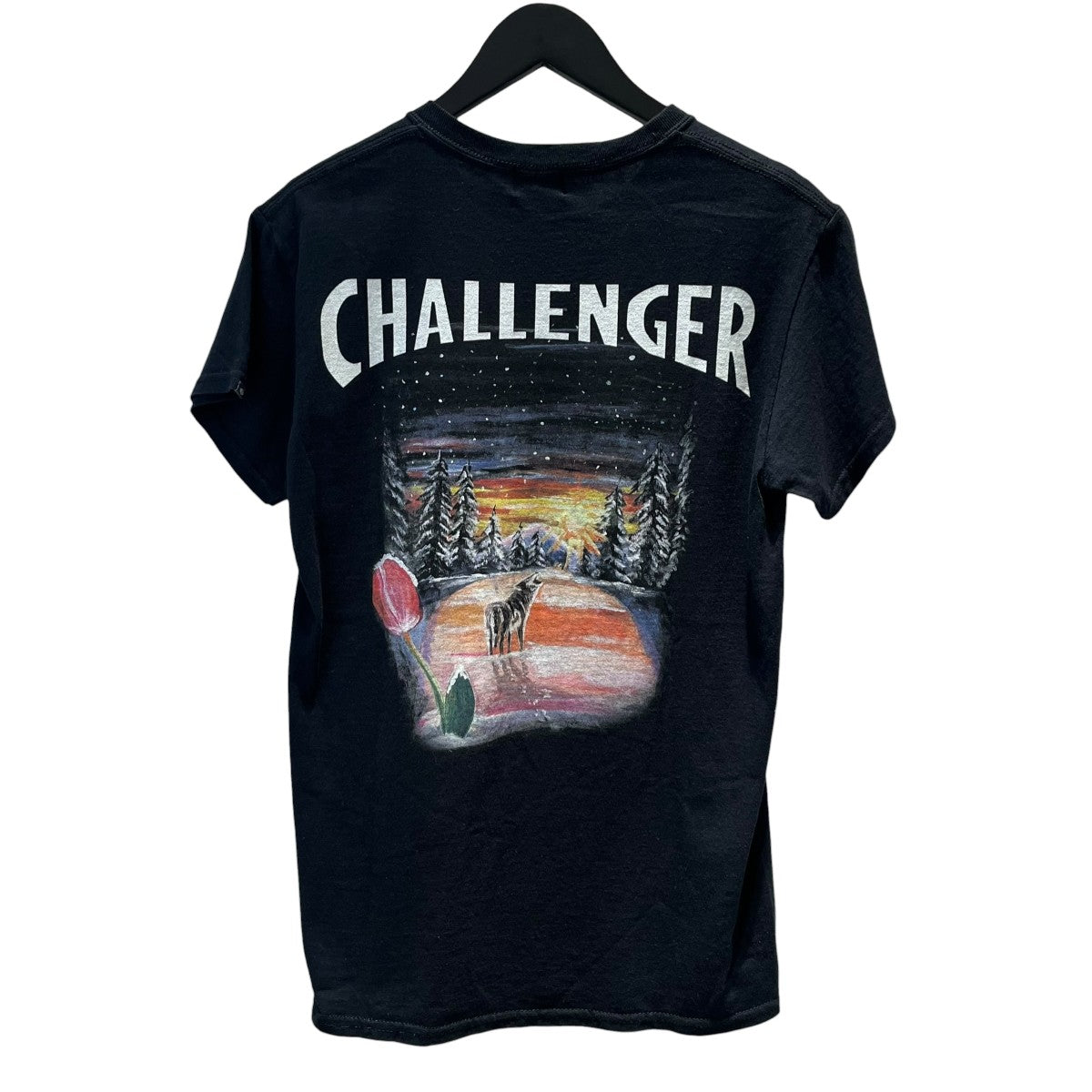Schott×CHALLENGER バックプリントTシャツ3113177 古着・中古-2枚目のアイテム画像