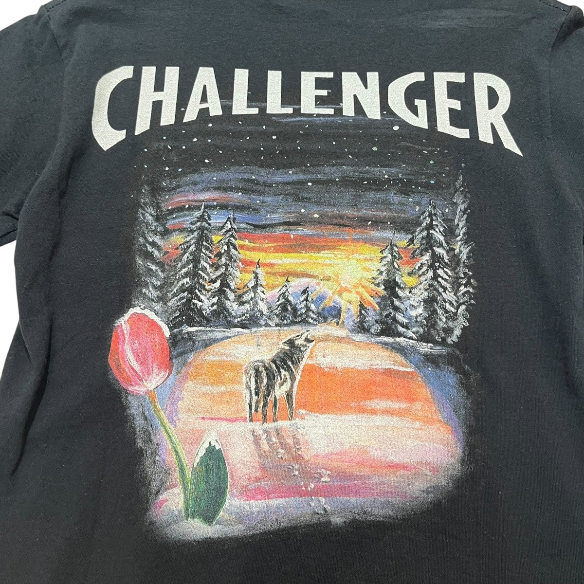 Schott×CHALLENGER バックプリントTシャツ3113177 古着・中古-3枚目のアイテム画像