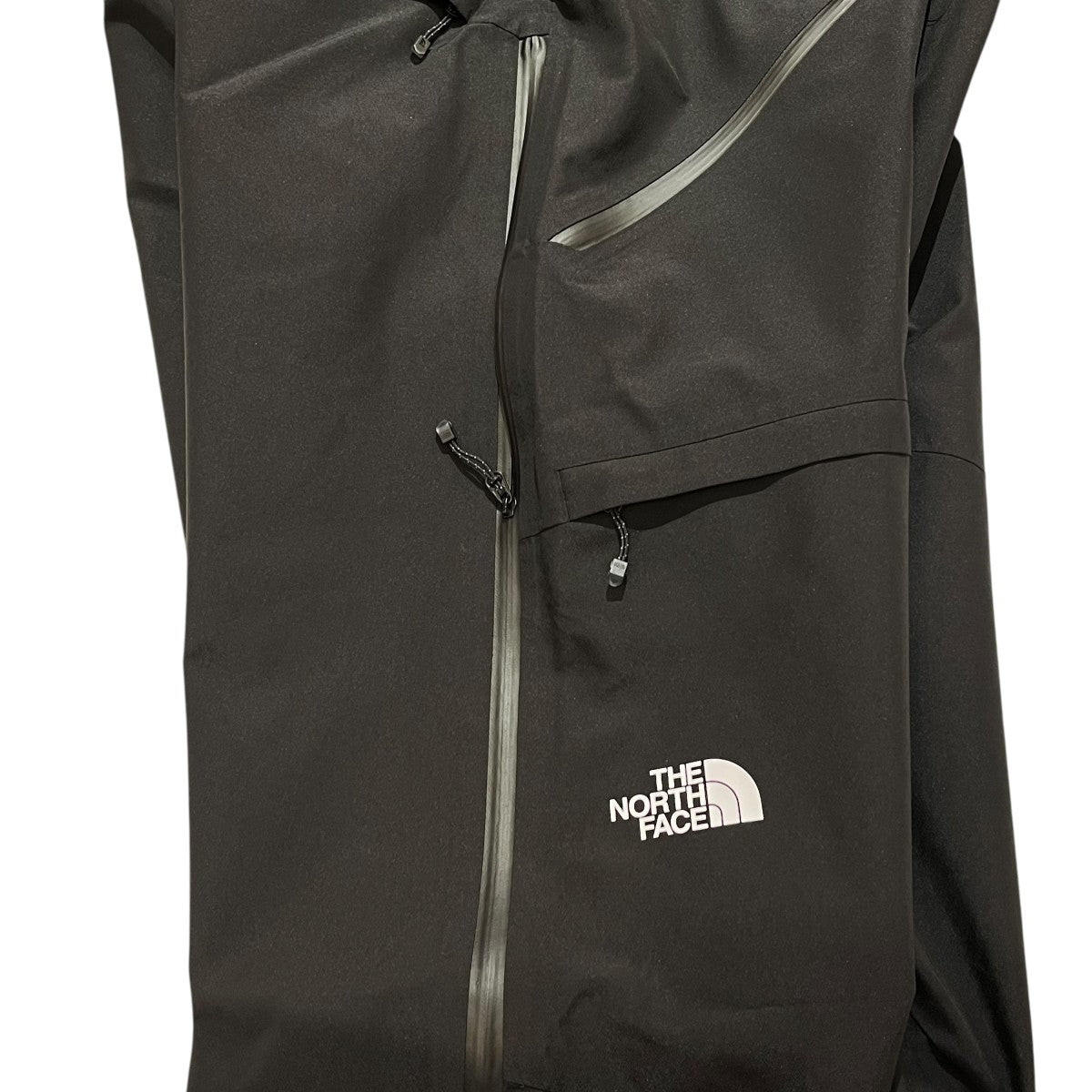THE NORTH FACE(ザノースフェイス) GORE TEX Slashback Pantナイロン