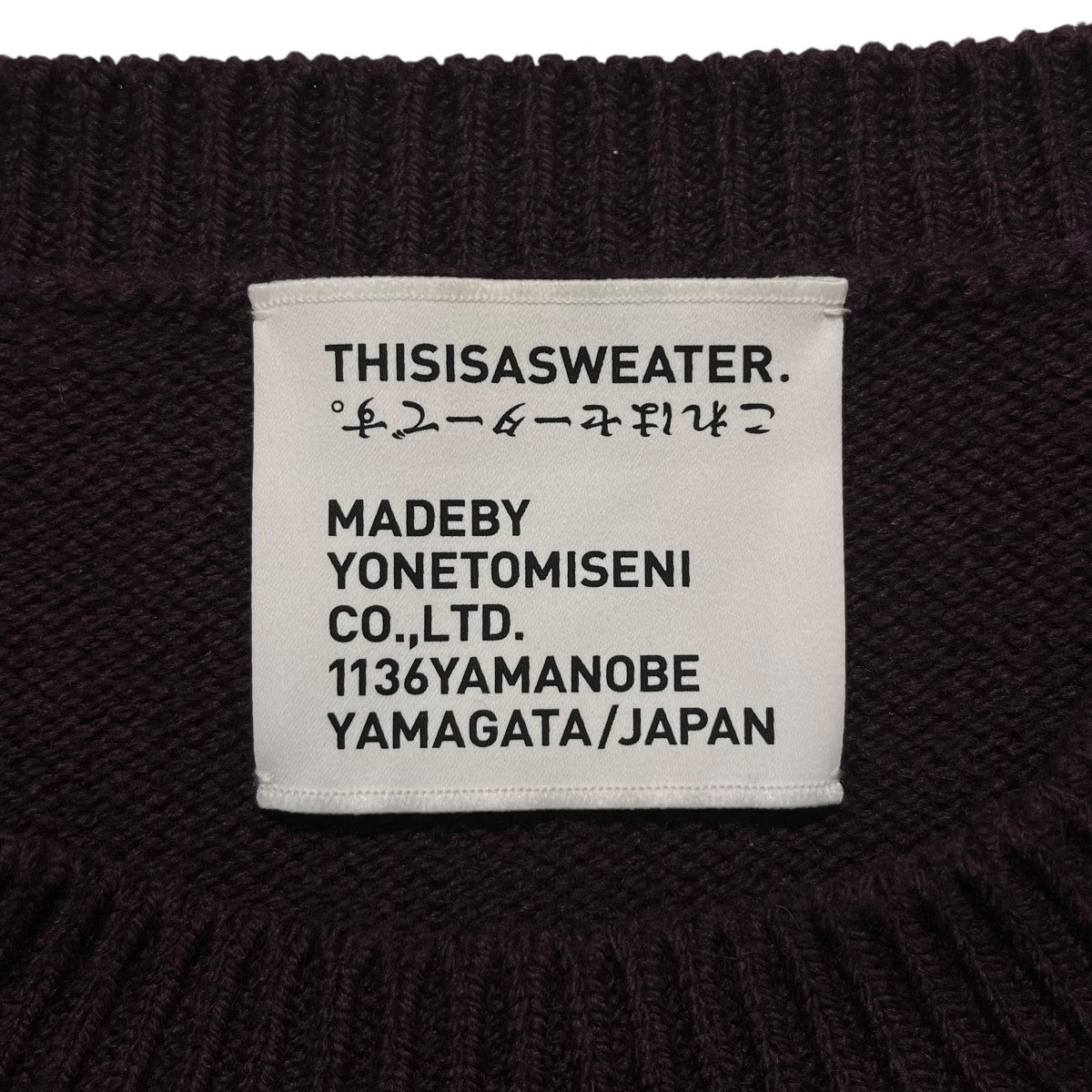 A SWEATER IS ORDINARY． Pulloverセーター25-234-001