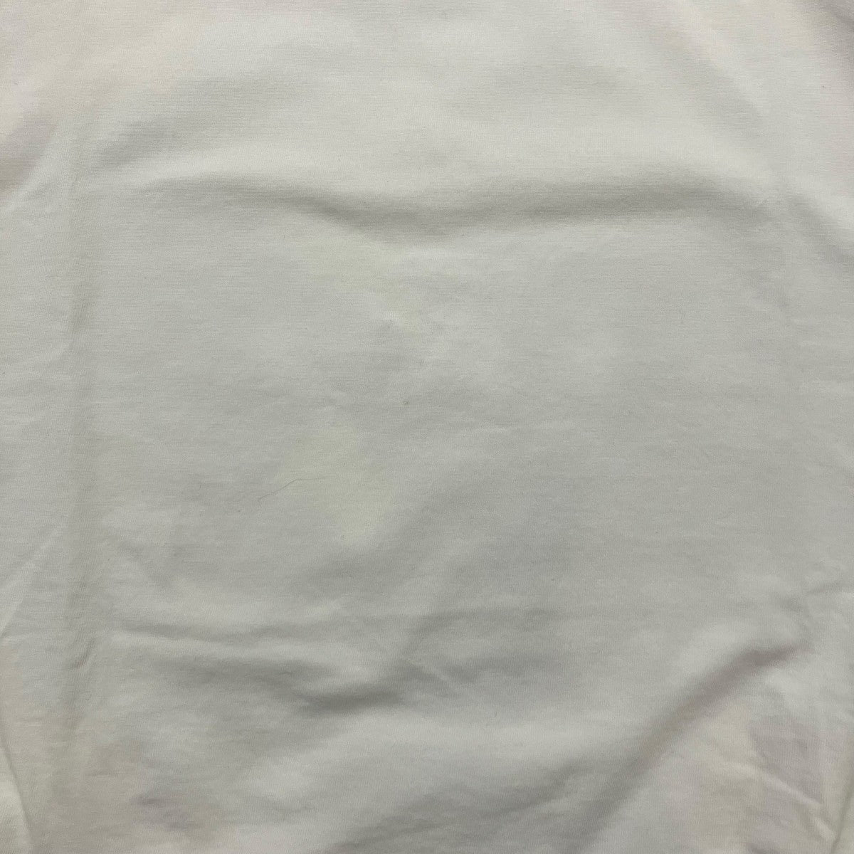 Americana AMRCNロゴTシャツ 古着・中古-4枚目のアイテム画像