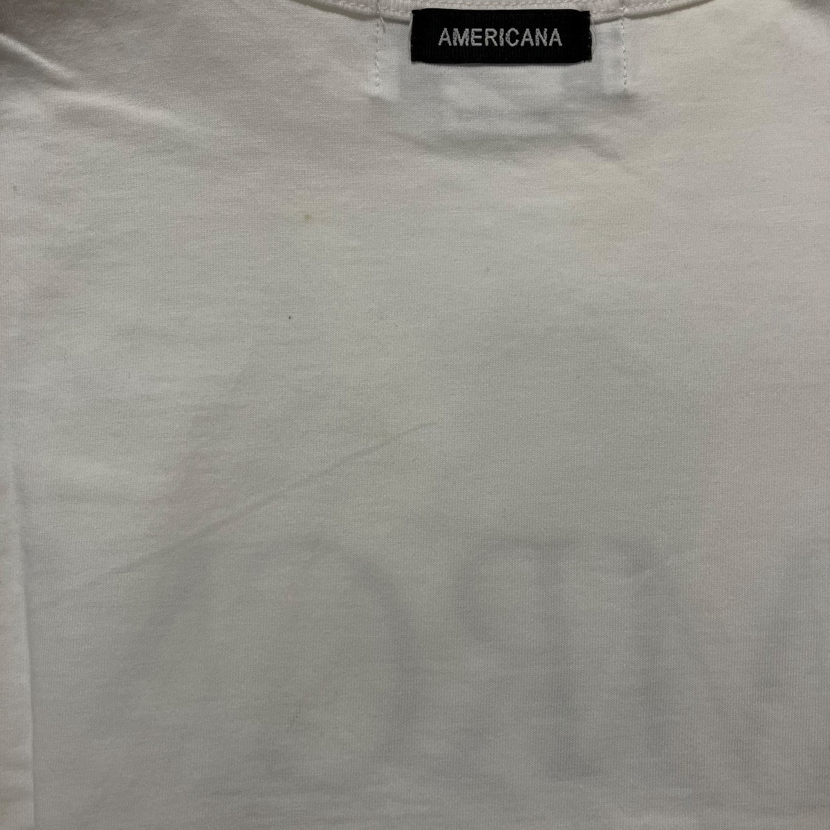 Americana AMRCNロゴTシャツ 古着・中古-5枚目のアイテム画像