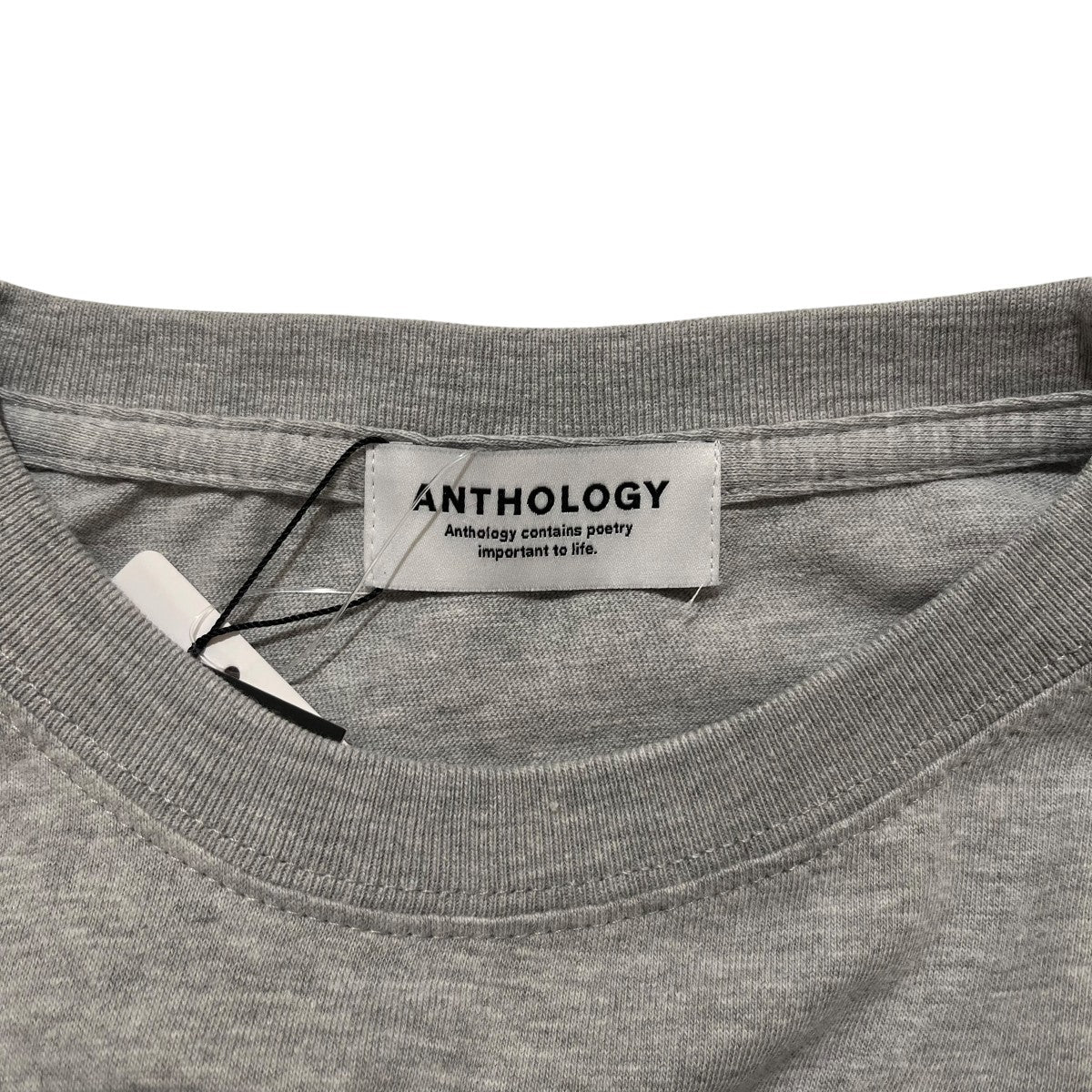 ANTHOLOGY 長袖Tシャツ 古着・中古-4枚目のアイテム画像