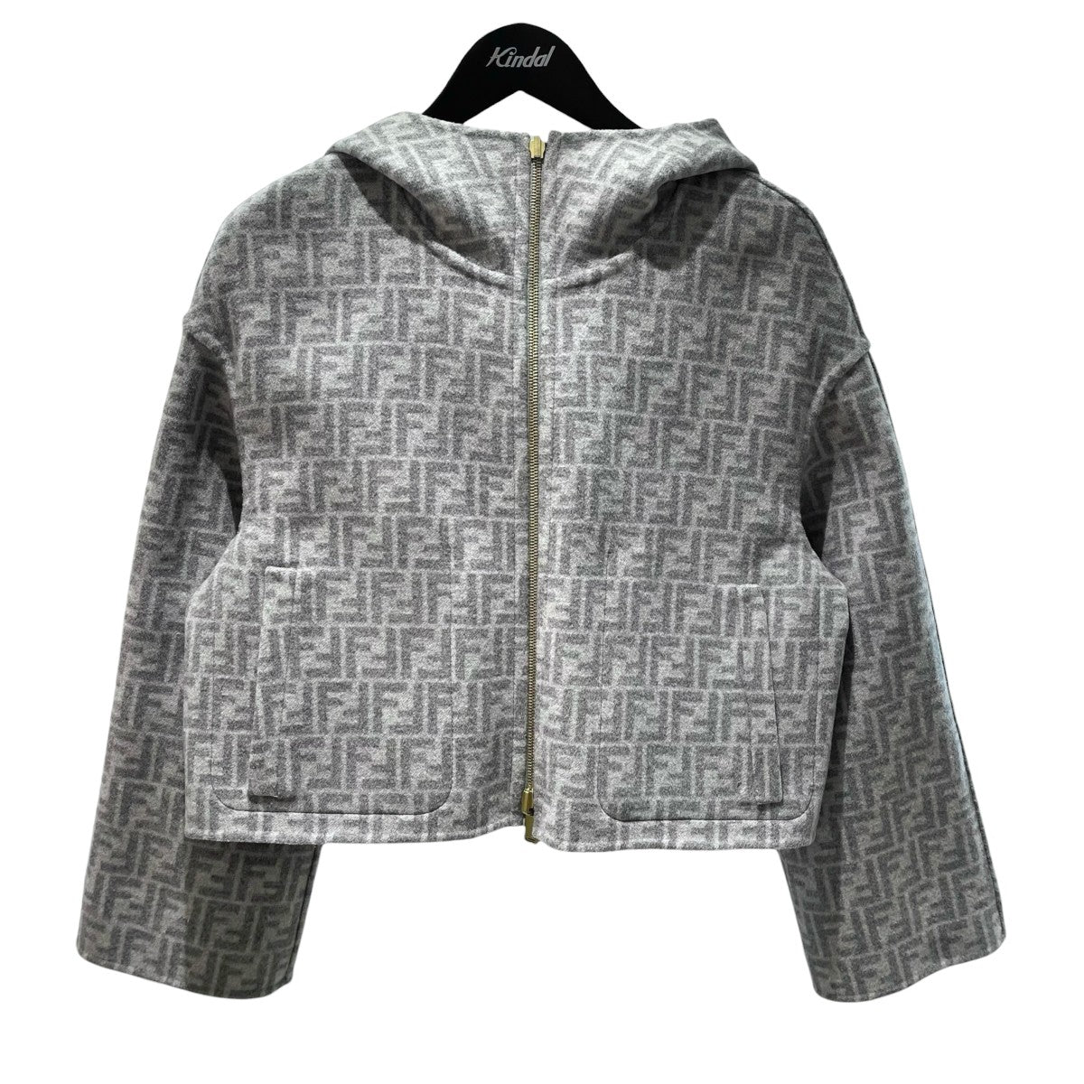 ズッカ柄REVERSIBLE FF MOTIF HOODED JACKET リバーシブルパーカーFJ6993 A5HD