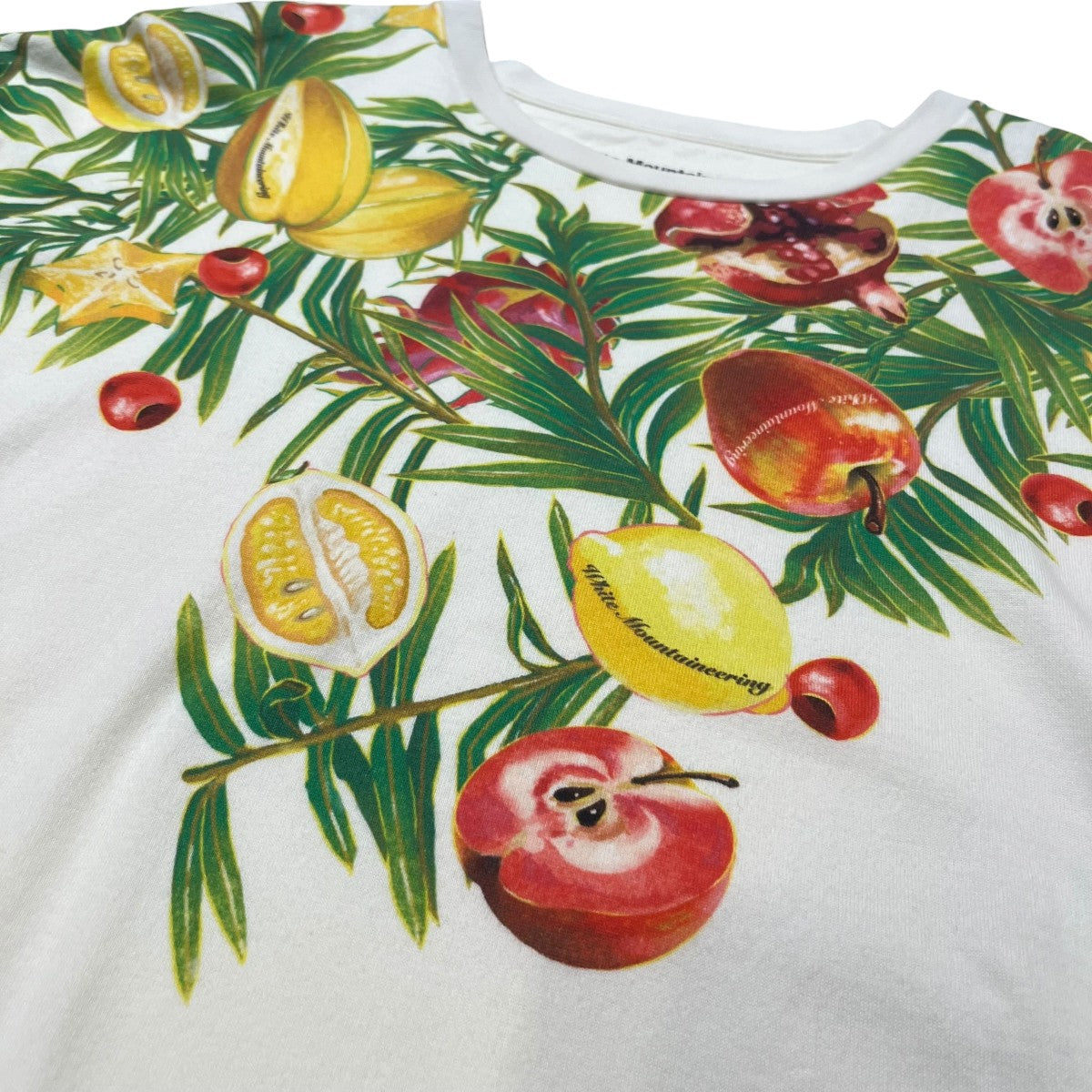 FRUITS PRINTTシャツWM2271533