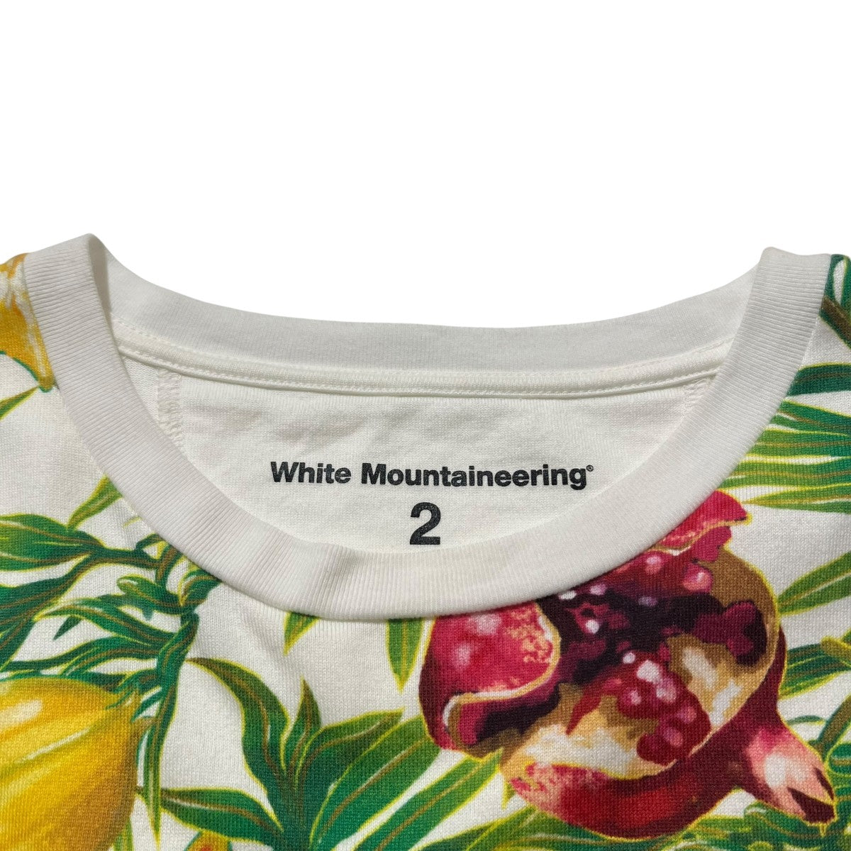 FRUITS PRINTTシャツWM2271533