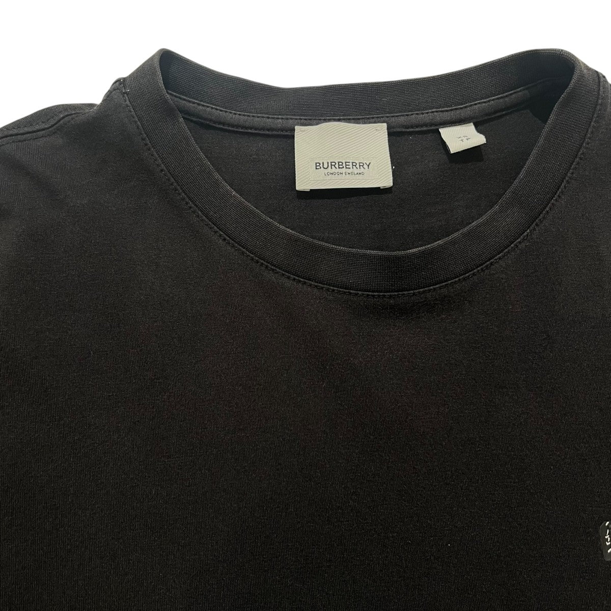 TBロゴ Tシャツ8033263
