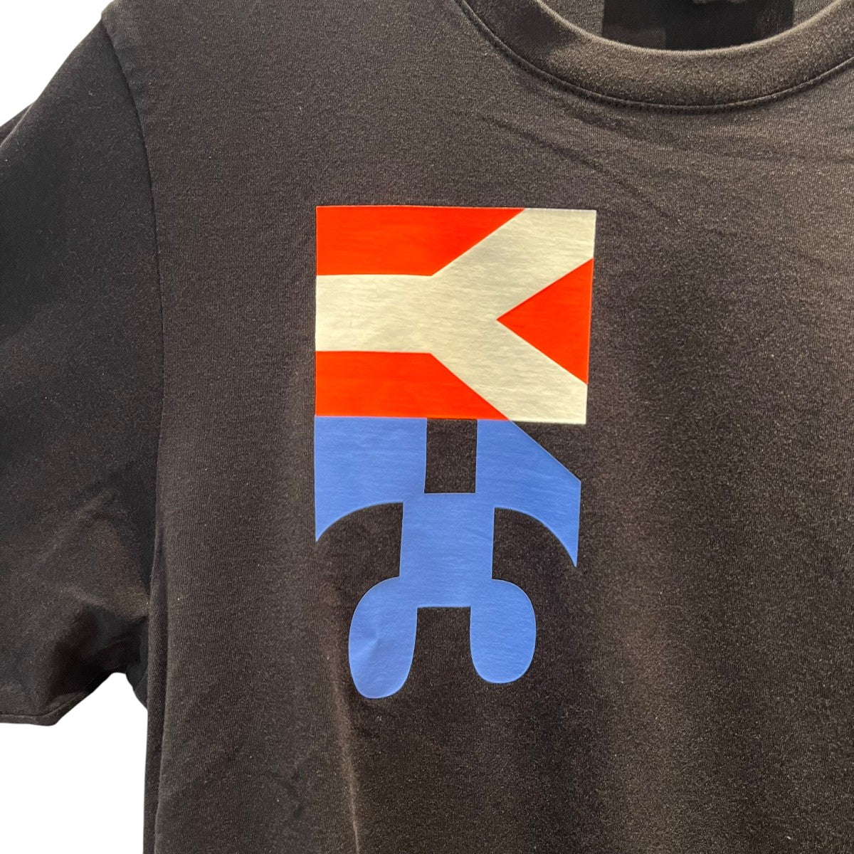 ビッグプリントTシャツFN5727