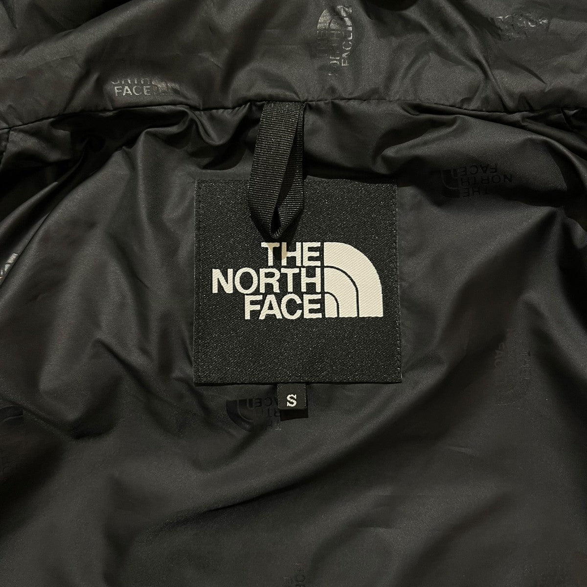 GORE-TEX Trans Antarctica Parka国旗ラバーワッペンマウンテンパーカーNP62238