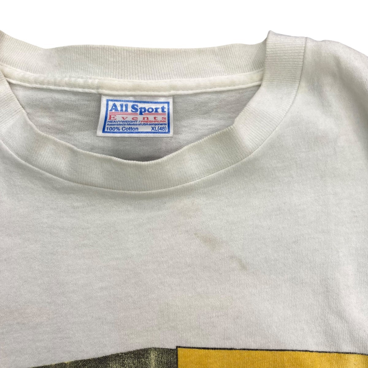 00’s TINA TURNER TOUR 2000 TEEクルーネックTシャツ