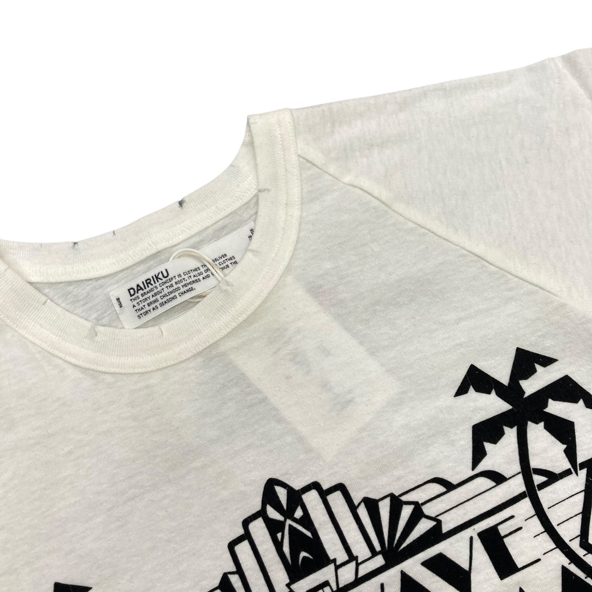 い出のひと時に、とびきりのおしゃれを！ DAIRIKU(ダイリク) 23SSNew Raglan TeeラグランTシャツ23SS C-5 トップス