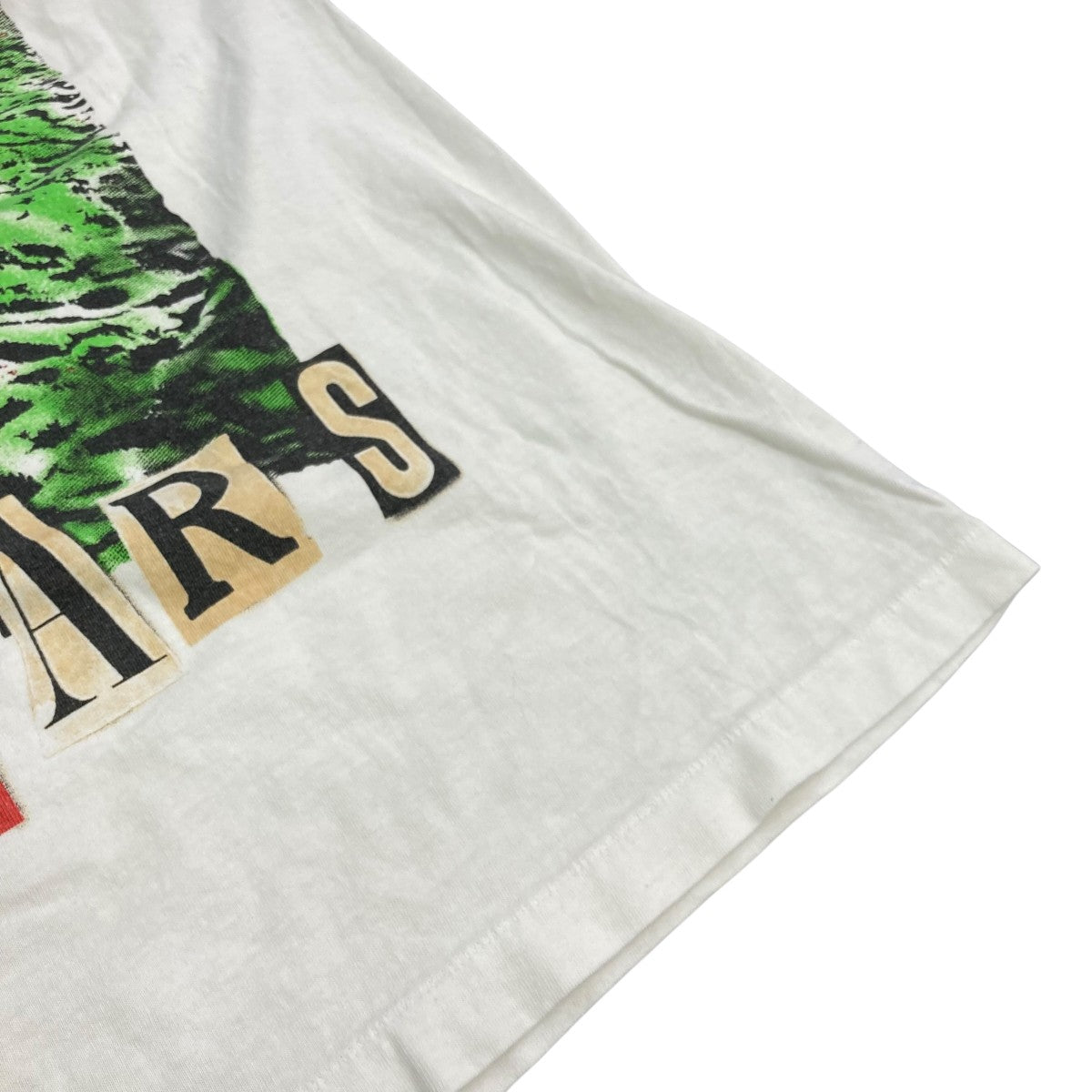 SAINT MICHAEL(セントマイケル) 21AWSTT LS TEE LANDSCAPE長袖T