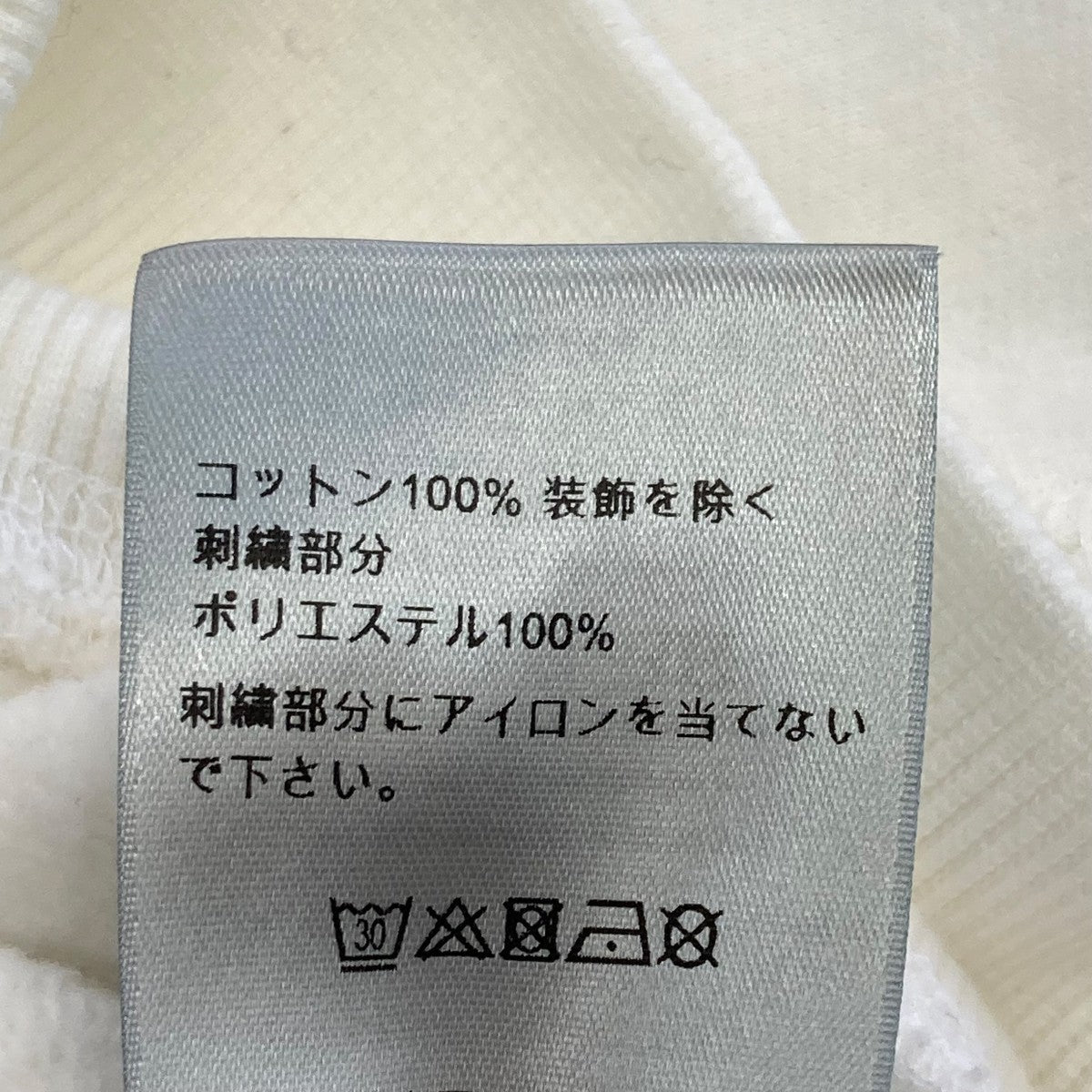 DIOR(ディオール) PETER DOIGプルオーバーパーカー143J683B0531