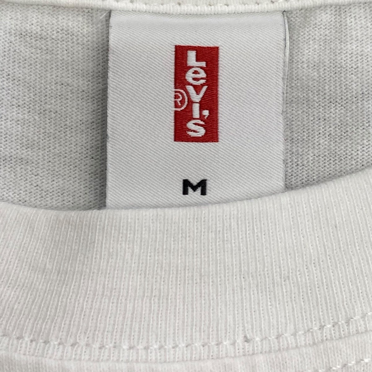 LEVI’S Sonic Youth DIRTY BUNNY半袖カットソー000H0 0011 古着・中古-6枚目のアイテム画像