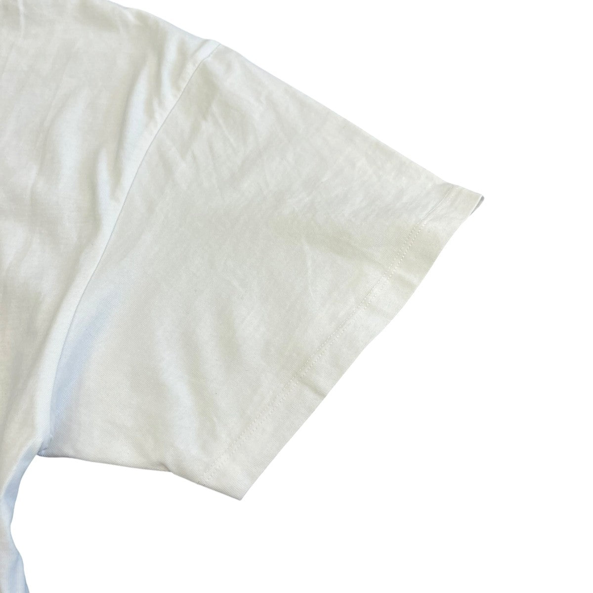 VETEMENTS 18AWELEPHANT IN THE ROOM TEE半袖カットソーUAH19TR310 古着・中古-4枚目のアイテム画像