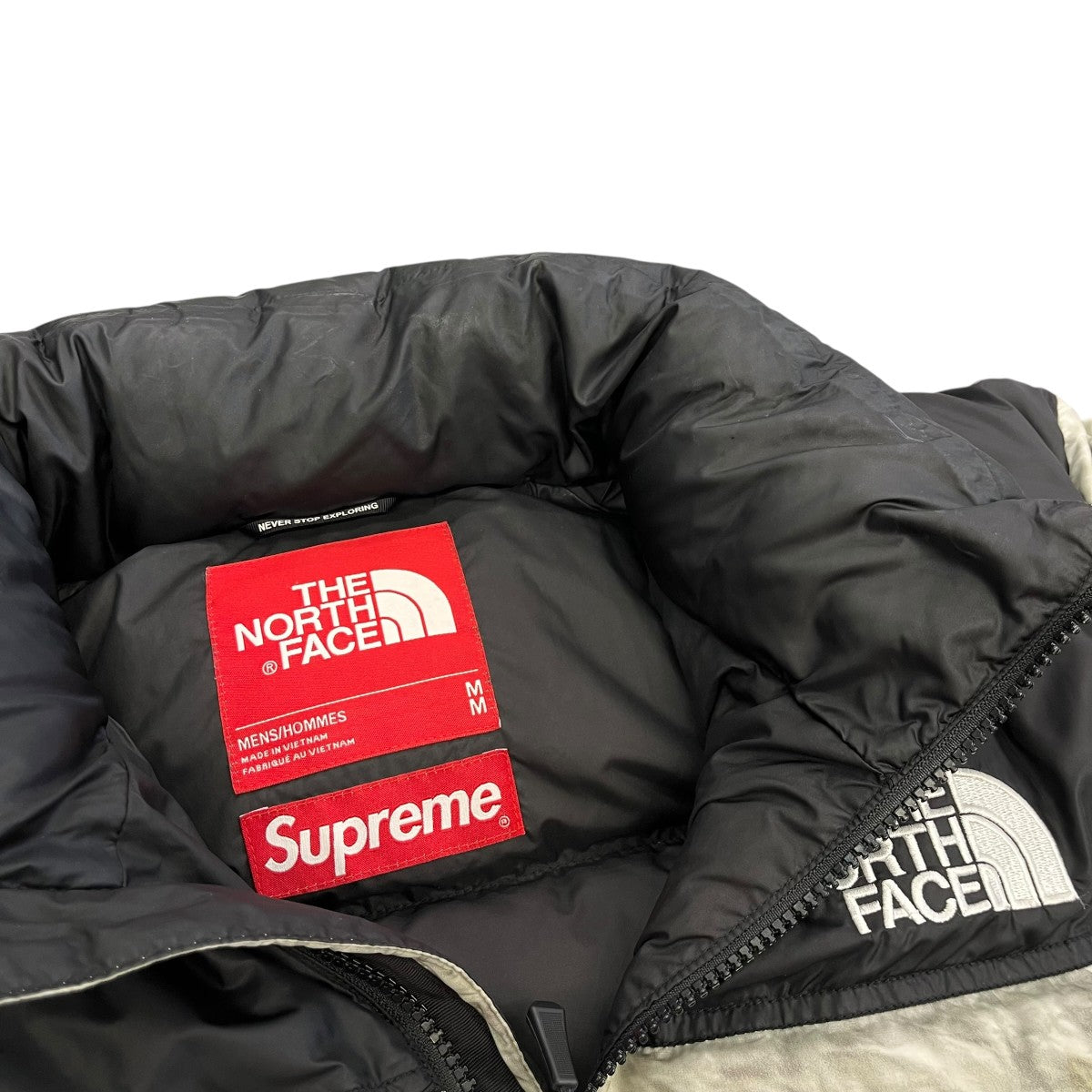 Supreme×THE NORTH FACE 19AWPaper Nuptse JacketダウンジャケットND91806I 古着・中古-9枚目のアイテム画像