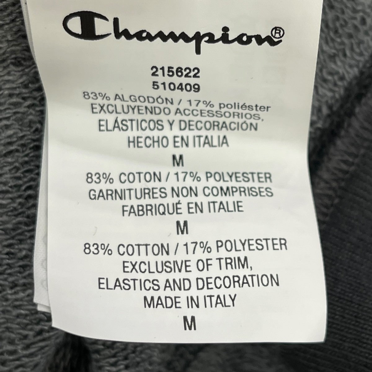Champion×CRAIG GREEN スウェット510409 古着・中古-7枚目のアイテム画像
