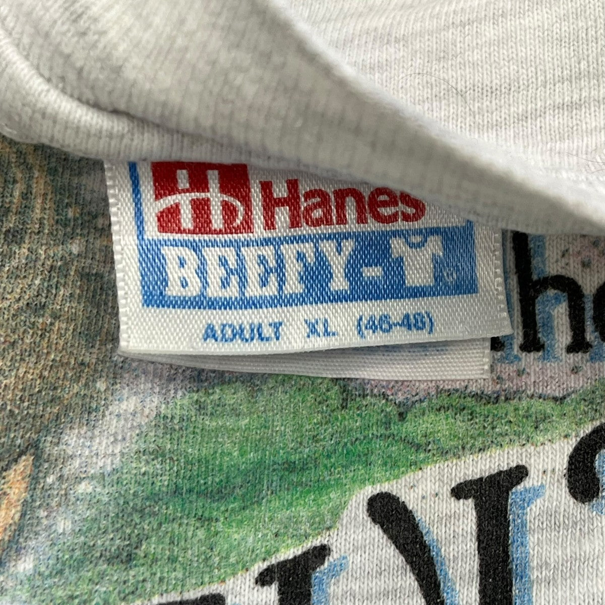 USED Hanes USA製 90s オズの魔法使い半袖カットソー 古着・中古-6枚目のアイテム画像