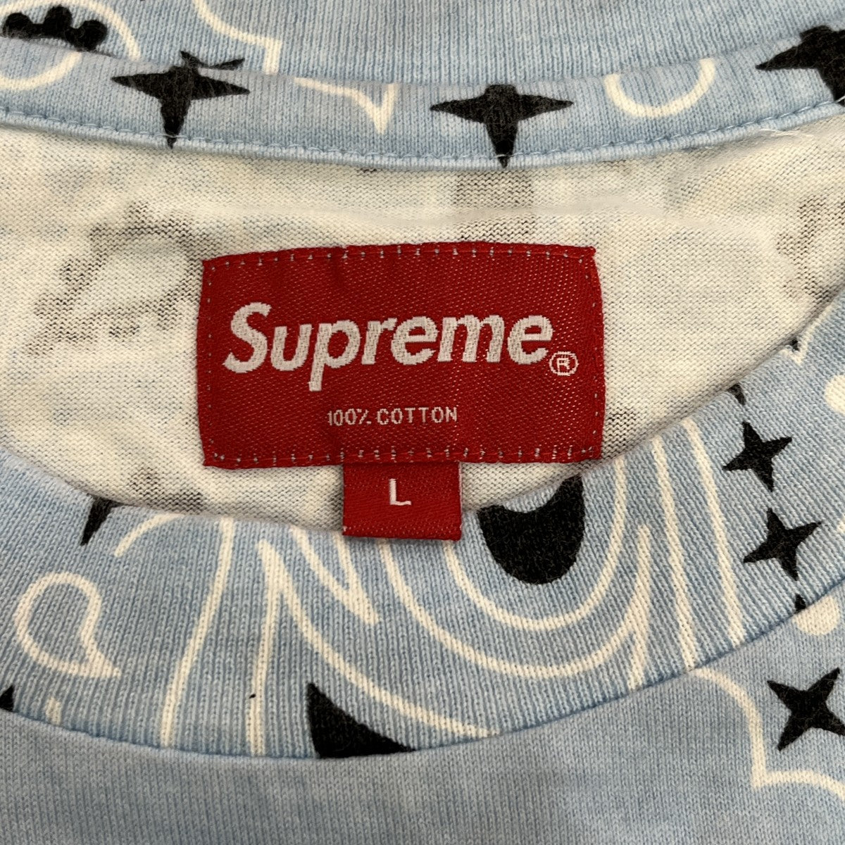 Small Box Logo Bandana半袖カットソー