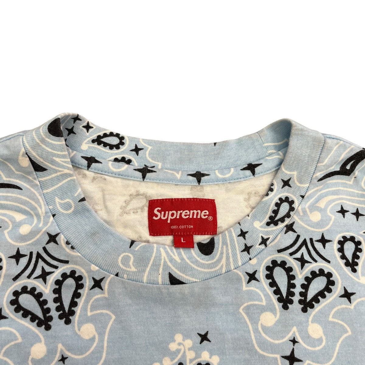 Small Box Logo Bandana半袖カットソー