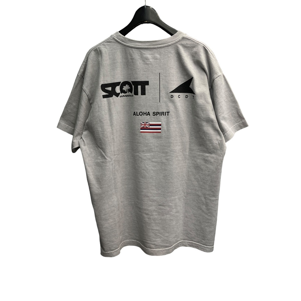 26SSEDST ピグメントダイ スコットハワイ ティープリントTシャツ