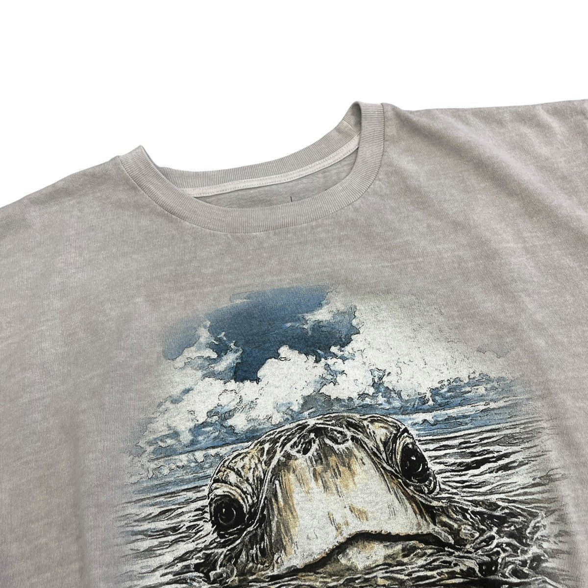 26SSEDST ピグメントダイ スコットハワイ ティープリントTシャツ