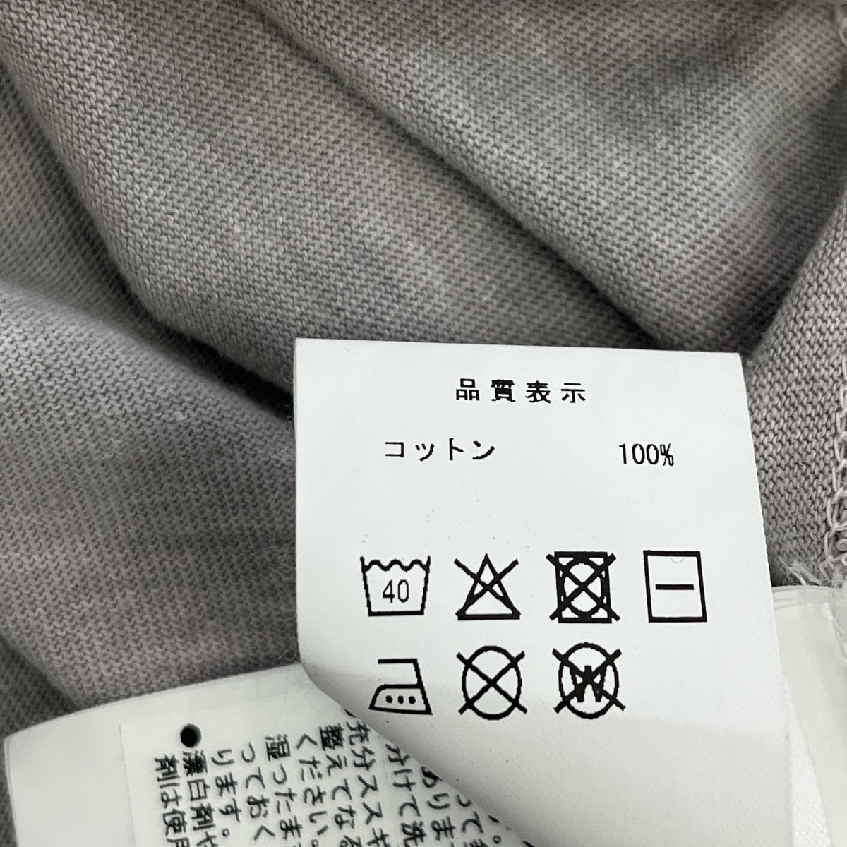 26SSEDST ピグメントダイ スコットハワイ ティープリントTシャツ
