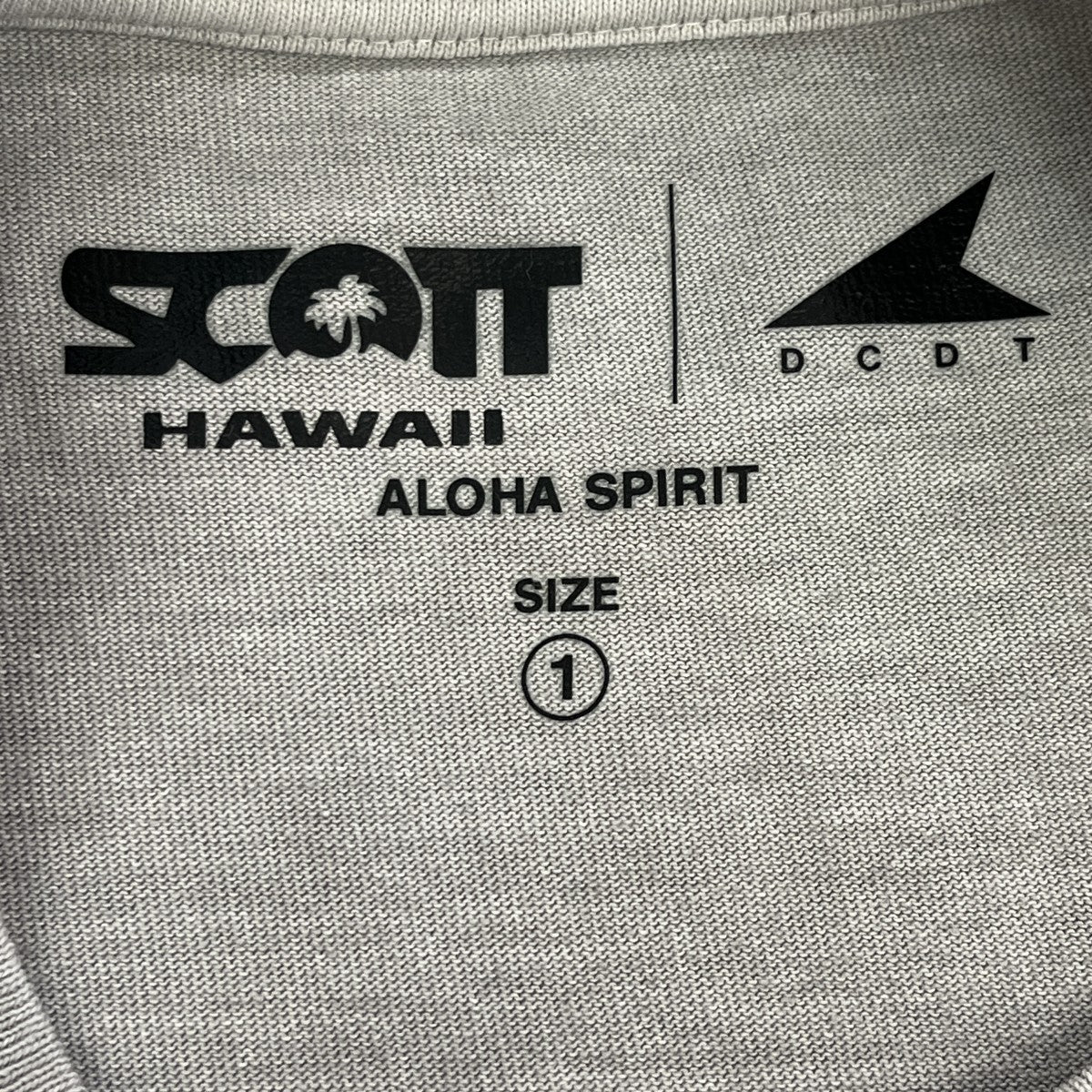 26SSEDST ピグメントダイ スコットハワイ ティープリントTシャツ