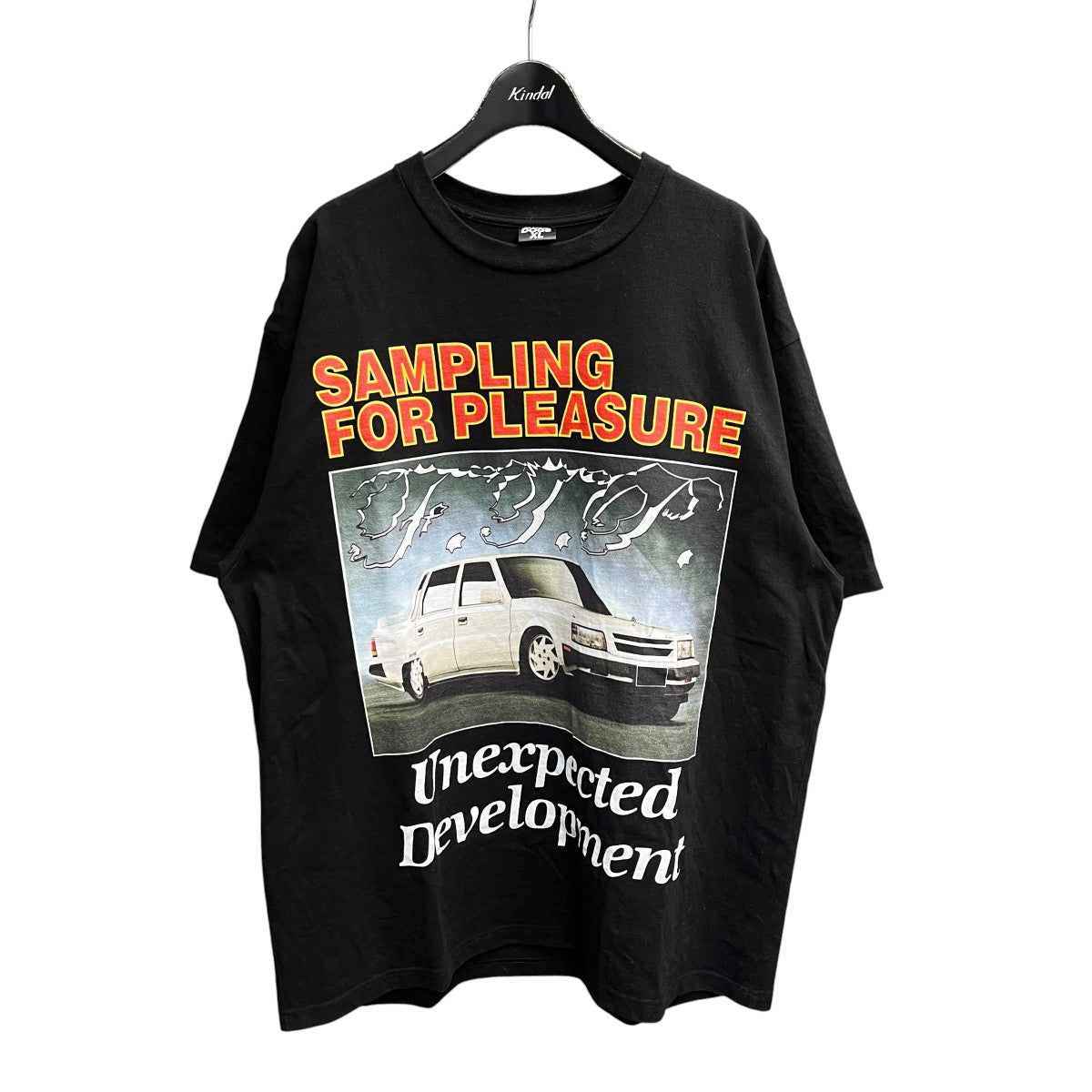 SAMPLING FOR PLEASURE TEEＴシャツ