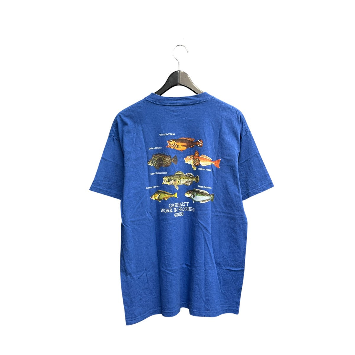 S S FISH T-SHIRT半袖カットソーI033120