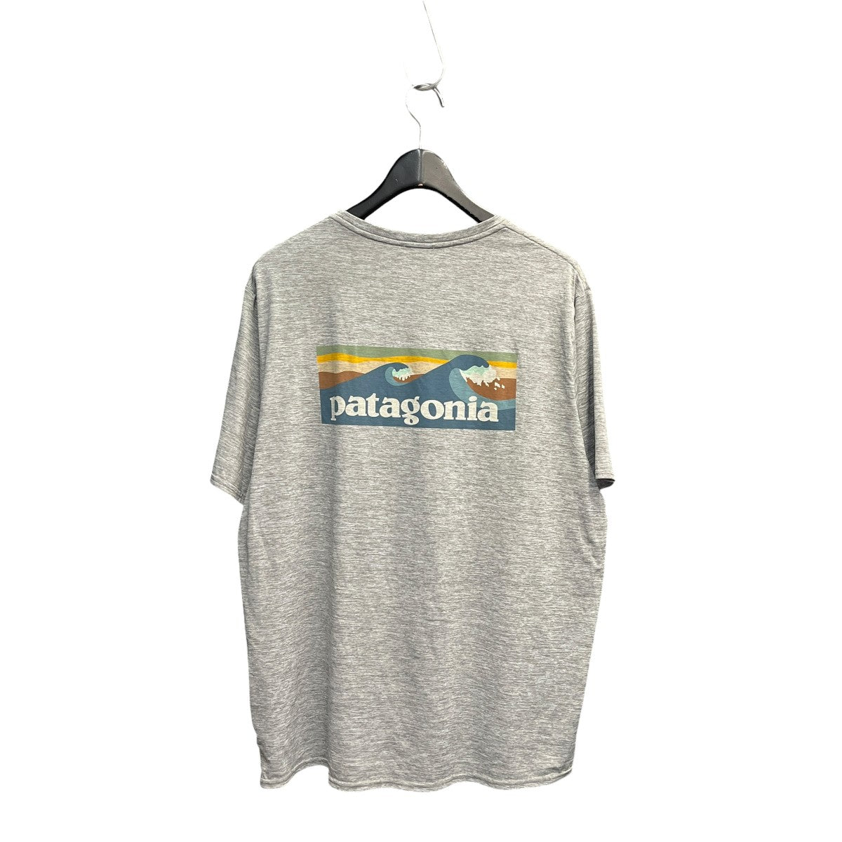 Patagonia キャプリーン・クール・デイリー・グラフィック・シャツ半袖カットソーSTY45355SP24 古着・中古-2枚目のアイテム画像