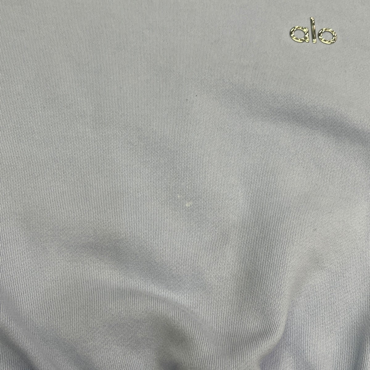 Accolade Cropped CrewneckスウェットW3924RG