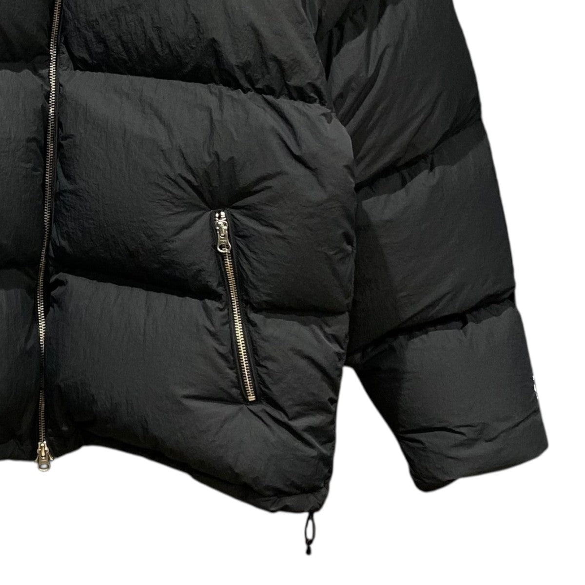 stussy(ステューシー) Nylon Down Pufferダウンジャケット115711