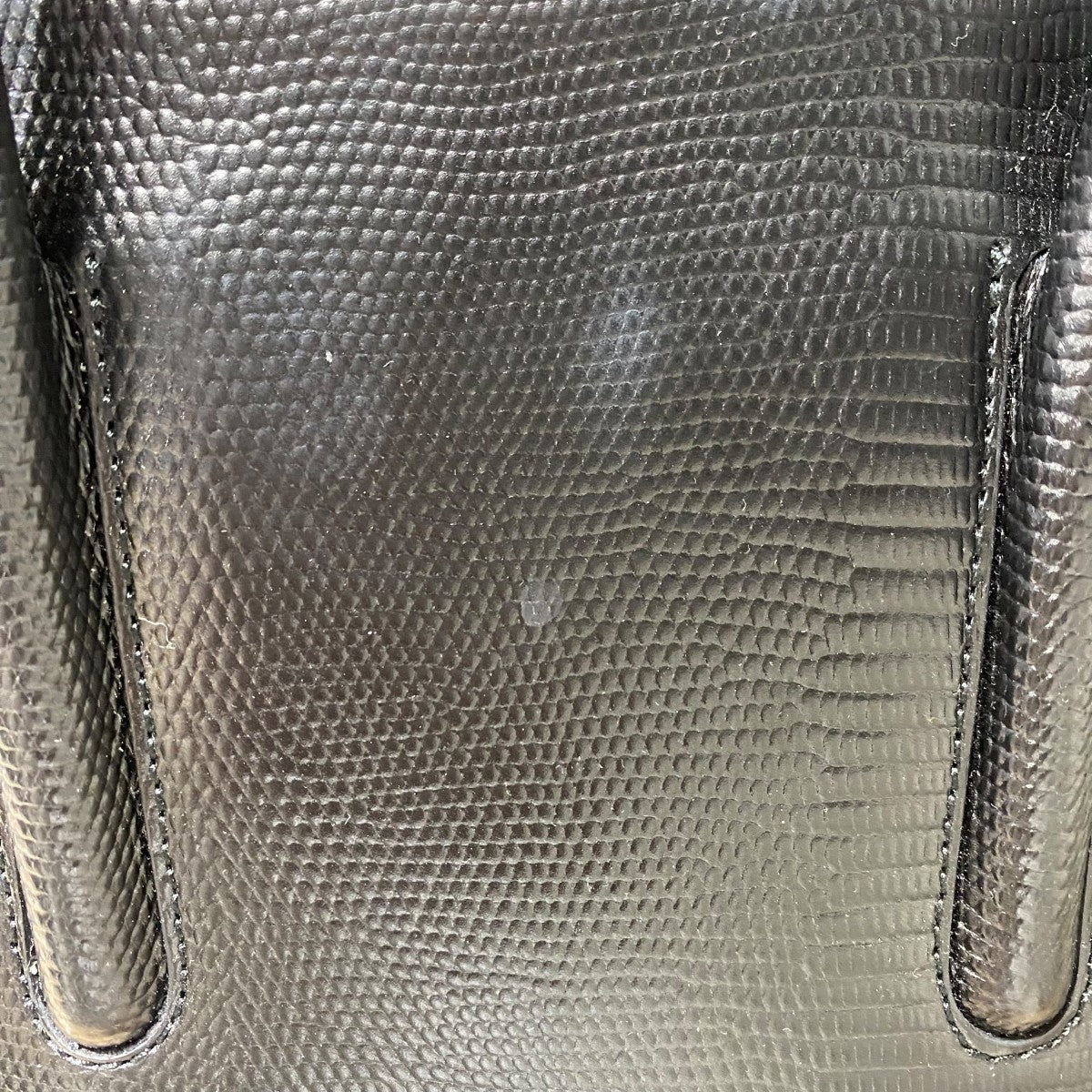 ƒnƒ“ƒhƒoƒbƒOJolie Lizard