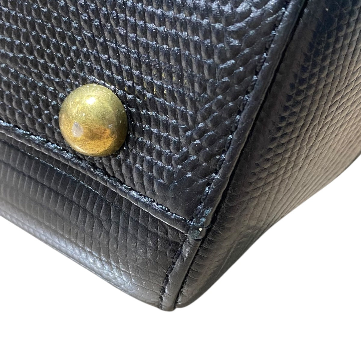 ƒnƒ“ƒhƒoƒbƒOJolie Lizard