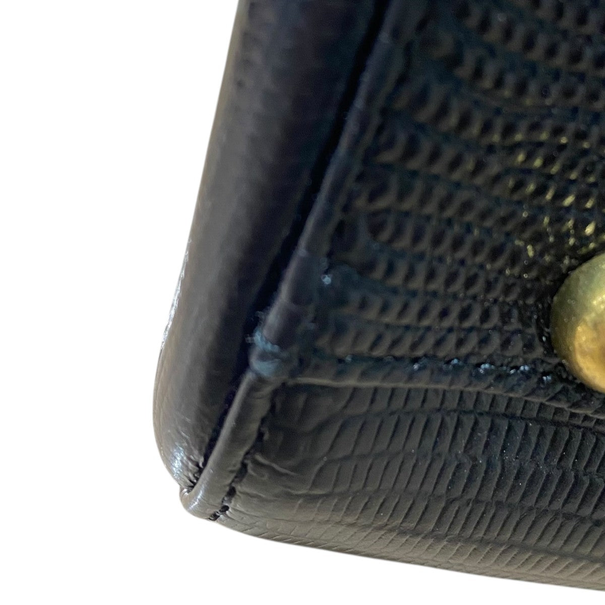 ƒnƒ“ƒhƒoƒbƒOJolie Lizard